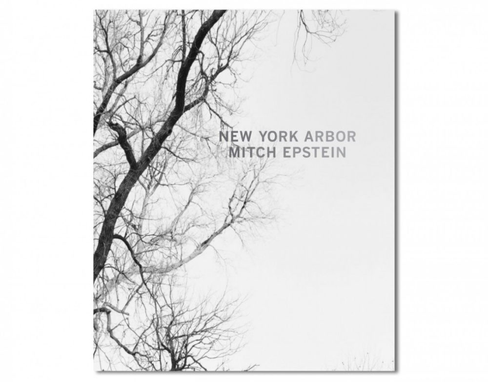 Review: New York Arbor by Mitch Epstein | Conscientious