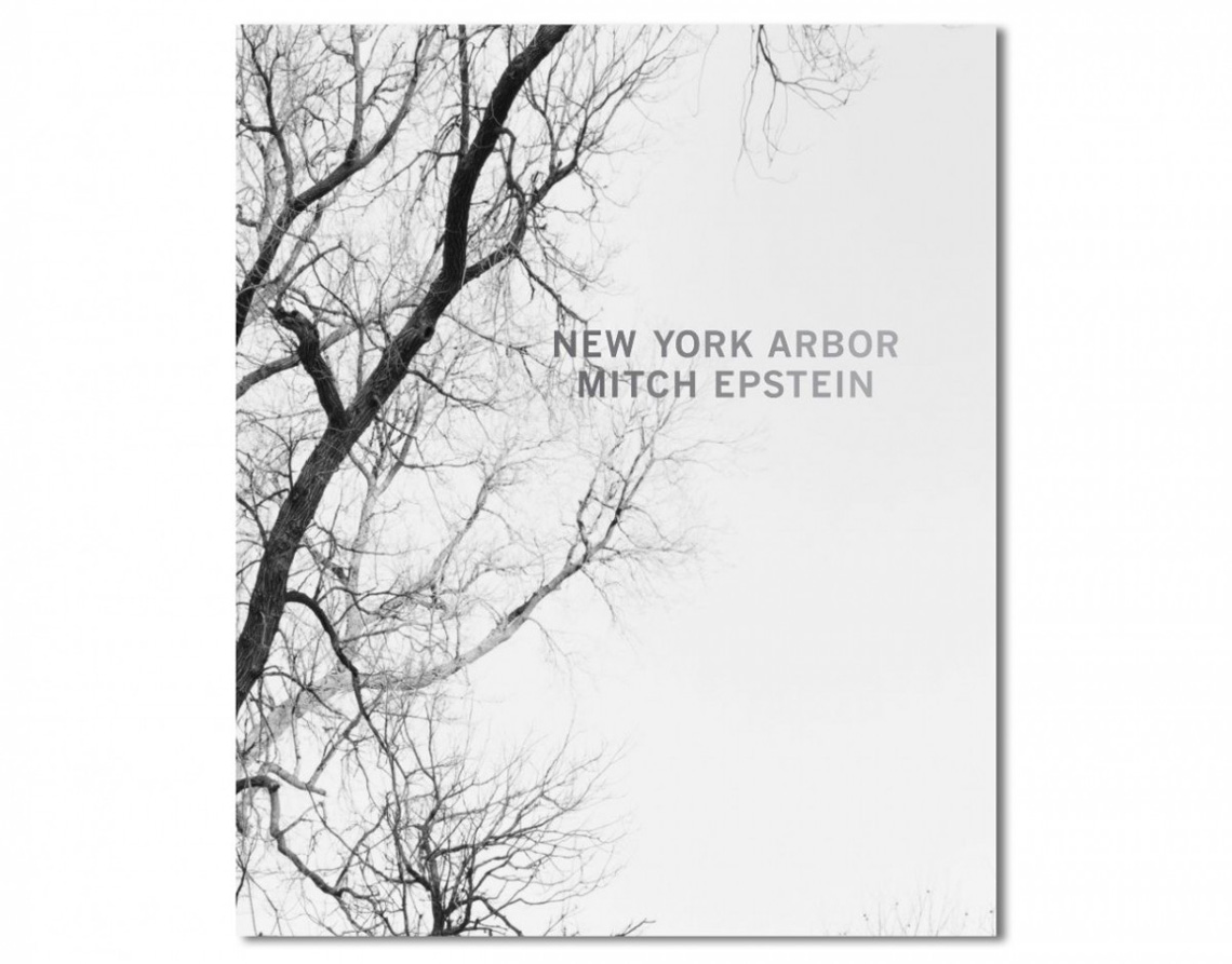 Review: New York Arbor by Mitch Epstein | Conscientious 
