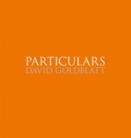 david-goldblatt-particulars-4
