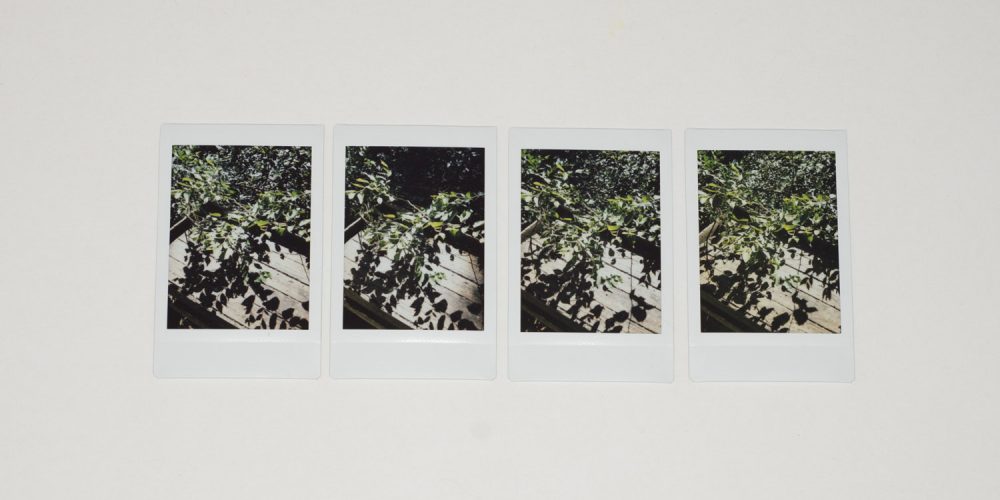 The Precious-Picture Complex | Conscientious Photography Magazine