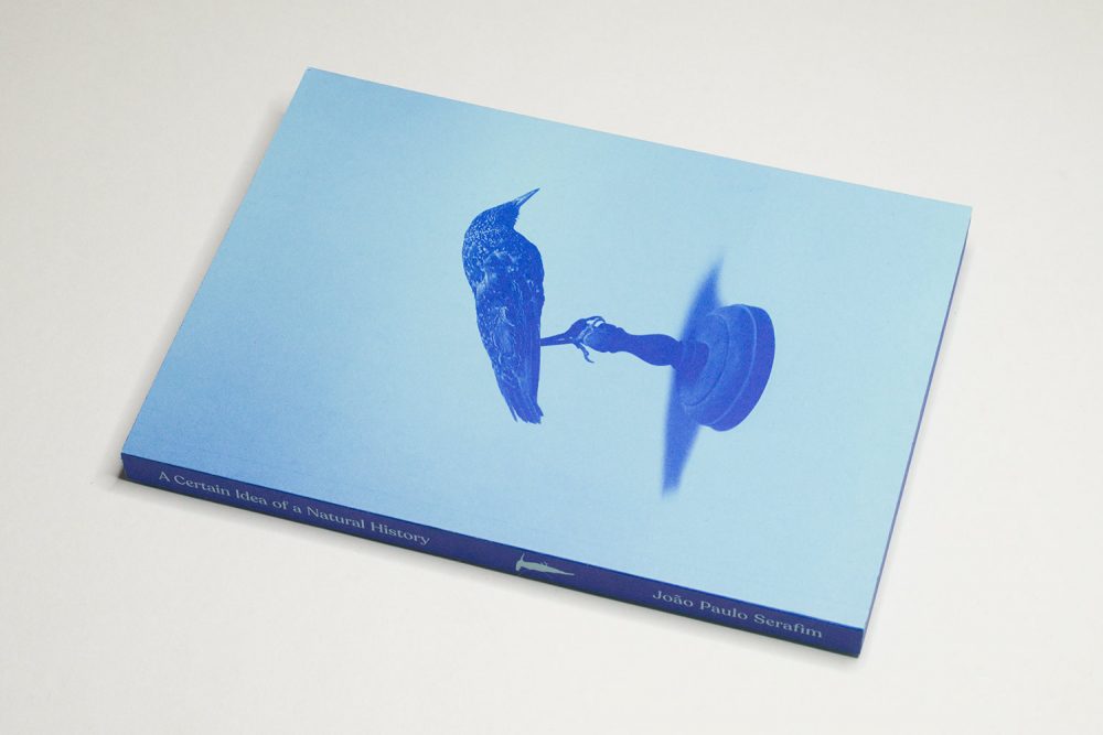 A Certain Idea of a Natural History | Conscientious Photography